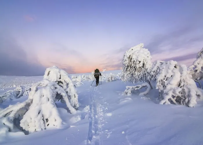 Kuukkeli Teerenpesue E 33 아파트 사리셀카